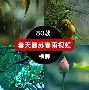 九游电脑版-包含全明星赛倒计时，广东宏远加时末段外线爆发，细节引发关注，赛场秩序良好，阵容厚度经受考验的词条